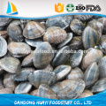 Alta calidad congelados Clam Baby Clam Necked clam proveedores y exportadores en China